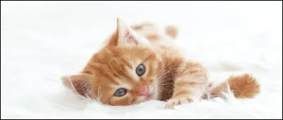 Quel nom préfères-tu ? (3)