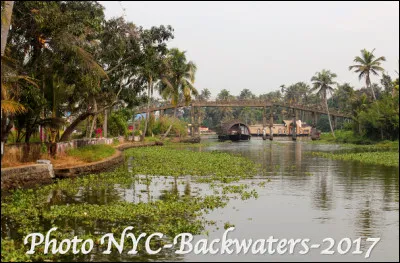 Dans quel État sont situés les Backwaters, une succession de lagunes et de lacs ?