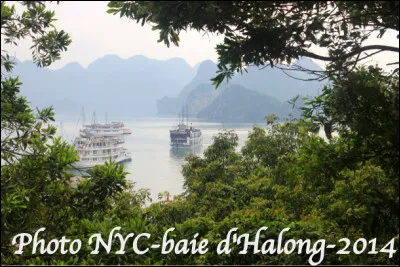 Dans quel État est situé la baie d'Halong, le plus grand karst marin du monde ?