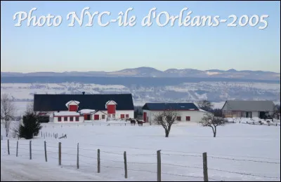 Dans quel État est situé l'ïle d'Orléans située sur le fleuve Saint-Laurent ?