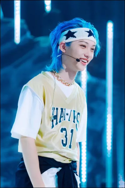 Quel est son rôle dans Stray Kids ?