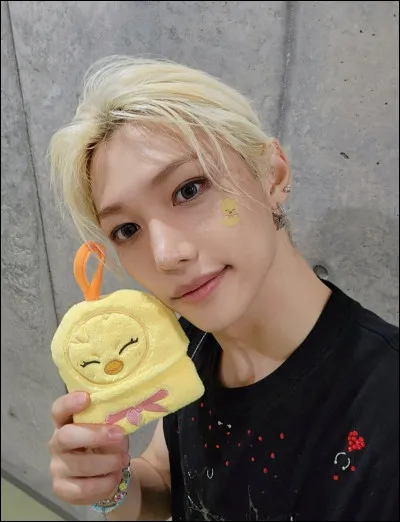 Quelle est sa chanson préférée de Stray Kids ?