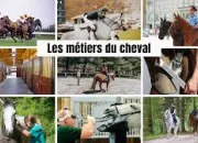Test Que veux-tu devenir ? (quitation)