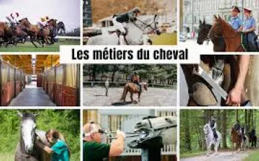 Quiz Test de personnalit