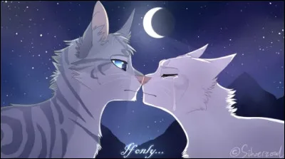 La toute première guérisseuse avant laube des Clans : Qui est-ce ?