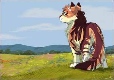 Et enfin : 
Guérisseur qui est chef et soigneur : Qui est-ce ?