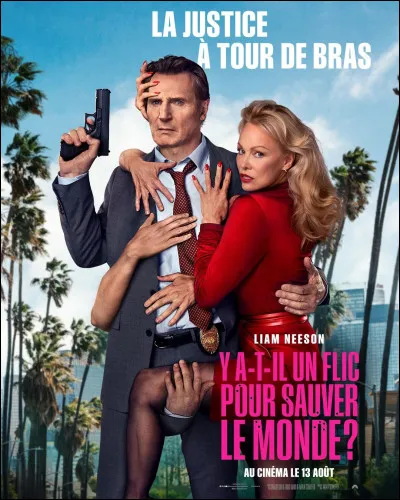 "Y a-t-il un flic pour sauver le monde" est un film interprété par Liam Neeson.