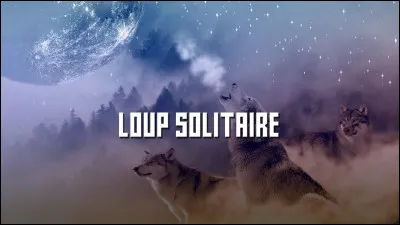 Es-tu solitaire ?