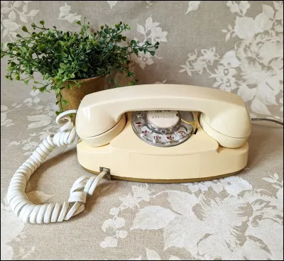 Et nous finirons avec une chanson légendaire du groupe Téléphone !