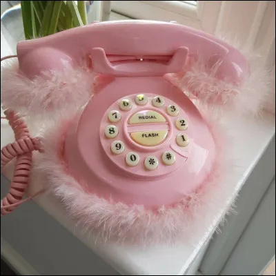 Quels acteurs jouaient dans le film d'Édouard Molinaro "Le Téléphone rose" ?