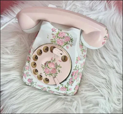 Qui interprétait les paroles "Si vous êtes comme ça, téléphonez-moi ! Si vous êtes comme ci, téléphonez-me" ?