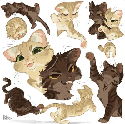 Et qui est cette chatte cr&egrave;me ?