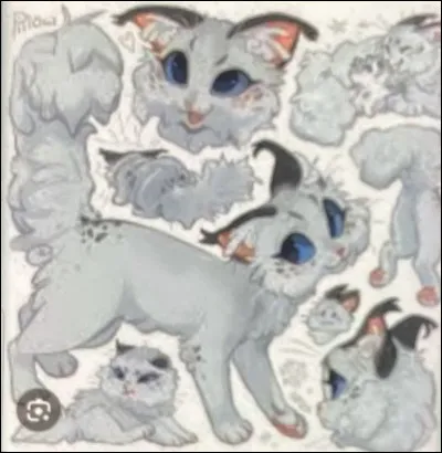 Et qui est cette chatte blanche ?