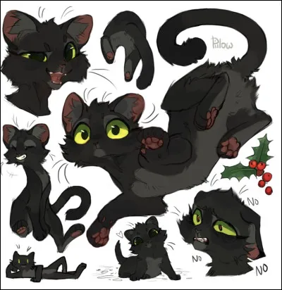 Vous m�avez dit que vous la connaissez, mais qui est-ce ?