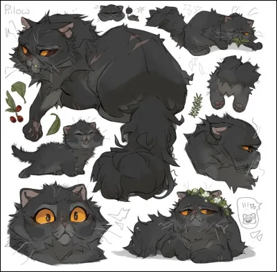 J�ai comme un trou de m&eacute;moire, pouvez-vous me dire qui elle est ?