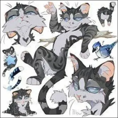 Et lui, alors, pouvez-vous me dire son nom ?