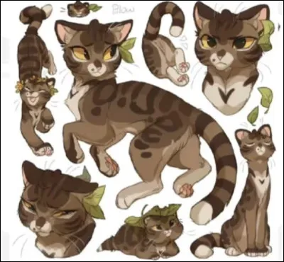 Et elle, qui est-elle ?