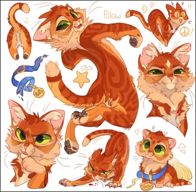 Allez un facile pour débuter : Qui est donc ce magnifique chat roux ?