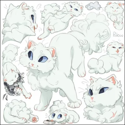 Et ce chat blanc touffu, saurez-vous me dire comment il s�appelle ?