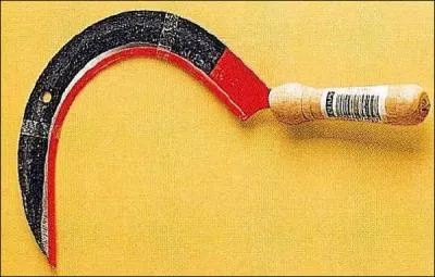 Quel est le nom de cet outil ?