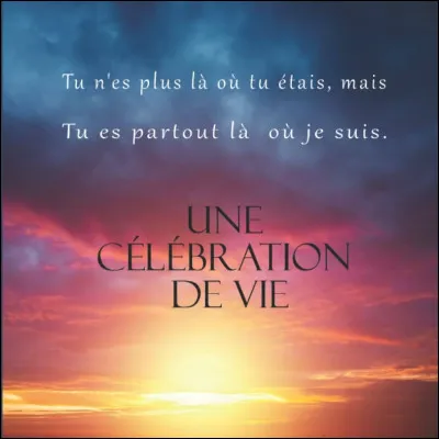Tu es... 
(Je vais parler au féminin. Si tu es un garçon, ce nest pas grave, tu peux toujours faire ce test.)