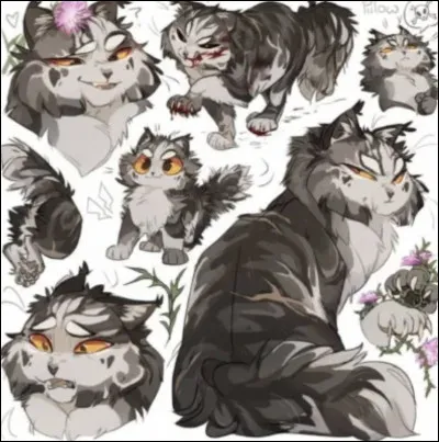 Sa sur commence à se rapprocher de plus en plus dun apprenti que Nuage Bleu naime pas, qui est-ce ?