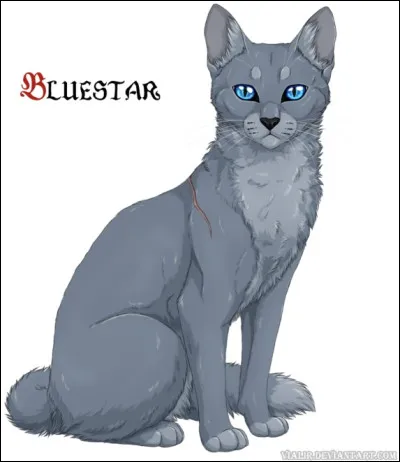 Quel est son nom de chaton ?