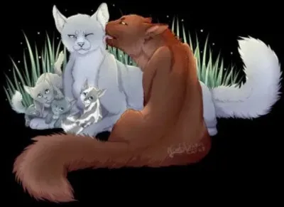 Comment sappelle le dernier chaton ?
Cest un mâle gris-bleu foncé