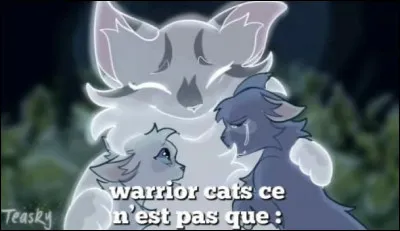 Une guerre éclate et le Clan du Tonnerre doit affronter le Clan du Vent sur leur territoire.
Durant cette bataille qui périt ?