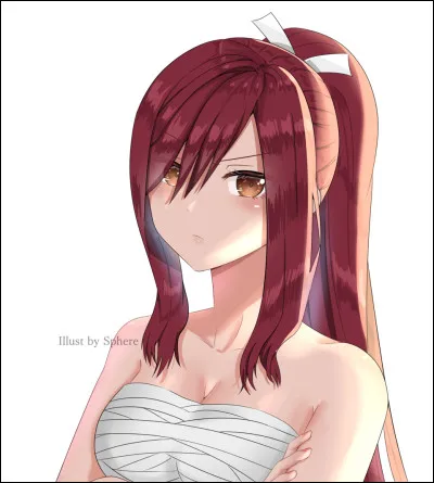 Dans l'univers de ''Fairy Tail'', quel objet te fait le plus envie ?