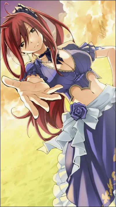 Quel est le dessert préféré d'Erza ?