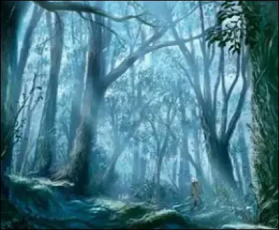 Tu te réveilles dans une forêt inconnue. Quel est ton premier réflexe ?