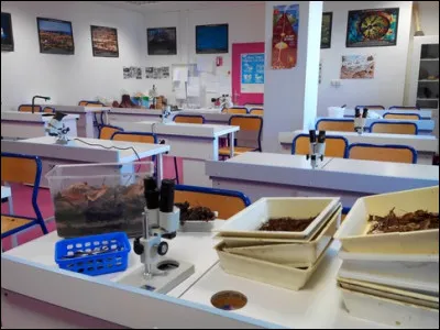 Monsieur Cornu prépare son laboratoire avant l'entrée des élèves, c'est le professeur...