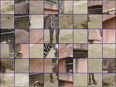 De quel animal s'agit-il ?