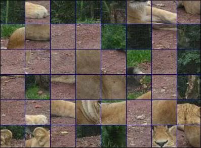 De quel animal s'agit-il ?