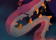 Test Lequel des trois dragons de BotW es-tu ?