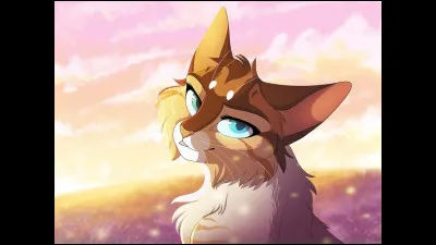 Qui sont ses sœurs ?