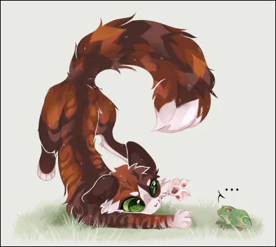 Qui sont ses mentors ?