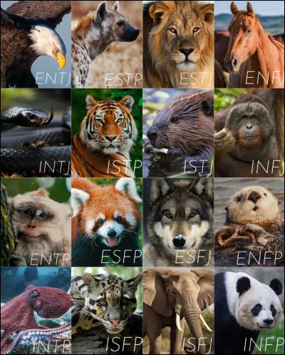 Si tu étais un animal, lequel serais-tu ?