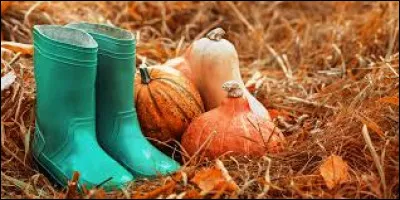 Parmi ces batailles de Napoléon 1er, laquelle s'est déroulée en octobre ?