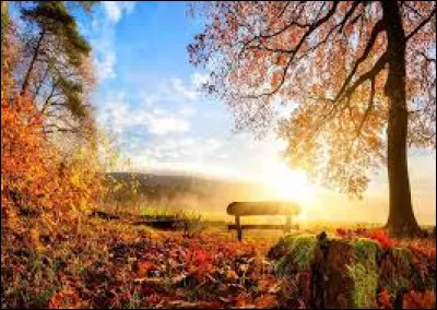 En quelle année Israël a-t-elle été victime d'une importante attaque par le Hamas un 7 octobre ?