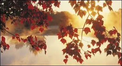 En quelle année la révolution d'Octobre en Russie a-t-elle eu lieu ?