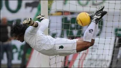 Scorpion : Pour tenter un coup du Scorpion (photo), il faut tre fl, cocanomane ou irresponsable. Ca tombe bien, ce grand ami de Pablo Escobar tait les trois  la fois...