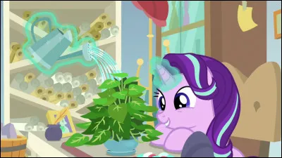 Quel est le m&eacute;tier final de Starlight ?