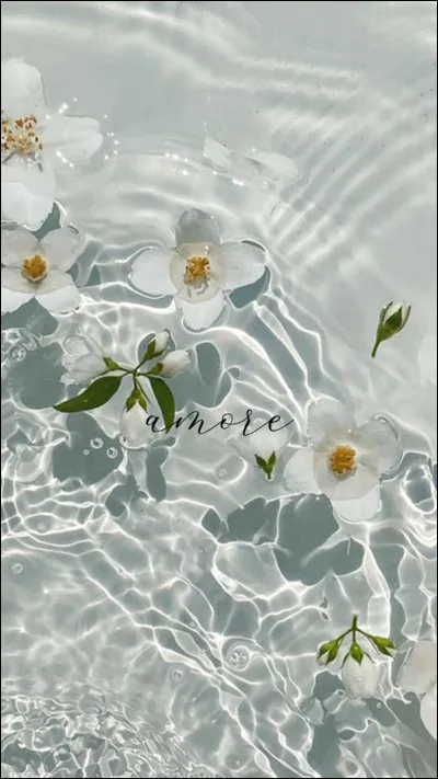 Choisis une citation :