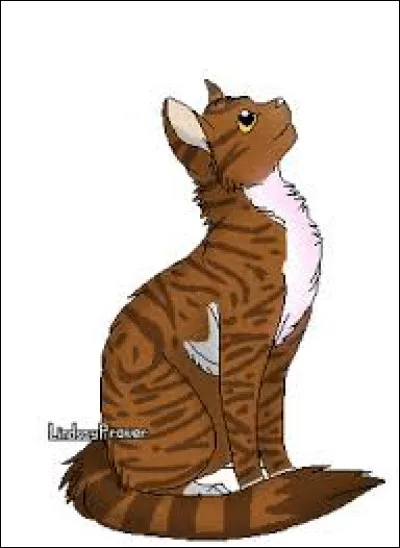 Vrai ou faux : Feuille de Lune a été amoureuse de quelqu'un.