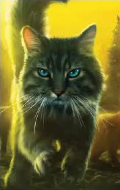 Quel chat a les yeux bleus ?