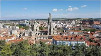 Quelle est cette ville de 170 000 habitants, située dans le nord du pays, berceau de la "Vieille Castille", connue pour sa cathédrale gothique et pour la statue du Cid ?