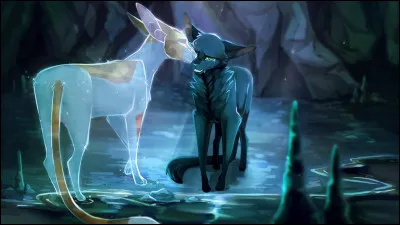 Qui est son compagnon ?