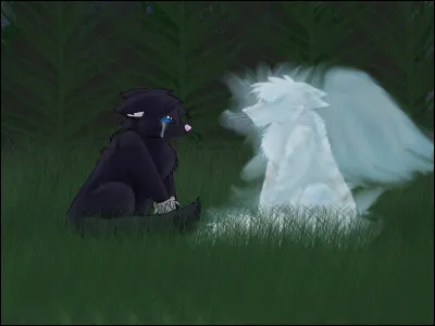 Qui est son mentor ?